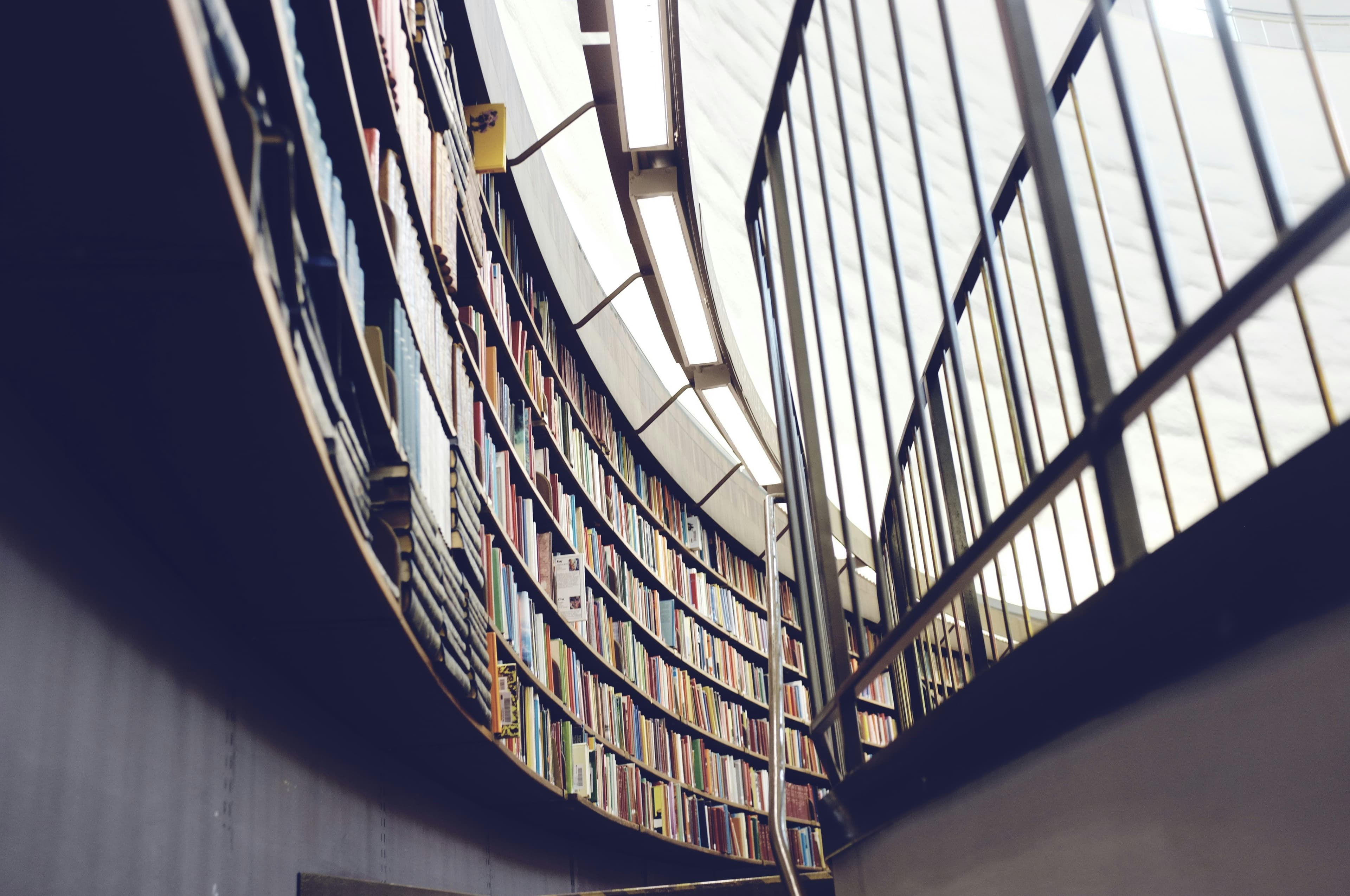 Intellectual Property services